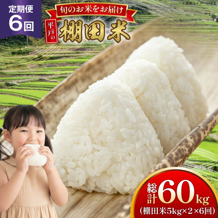 【ふるさと納税】米 令和7年 棚田米 5kg 2袋 計 10kg 6回 定期便 総計60kg [ひらど新鮮市場 長崎県 平戸市 hr42bgy400182] 令和7年産 コメ こめ ごはん ご飯 こしひかり ひのひかり にこまる