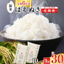 【ふるさと納税】令和6年産 《10kg 3回定期便》 山形県産 はえぬき 10kg(5kg×2袋)×3回 2024年産 令和6年産 ／ お取り寄せ 特産 白米 小分け 便利 弁当 ごはん ご飯 ライス 食品 食料品 朝食 昼食 夕食 夕飯 東北 5キロ 10キロ 30キロ 3ヵ月 3か月 故郷納税