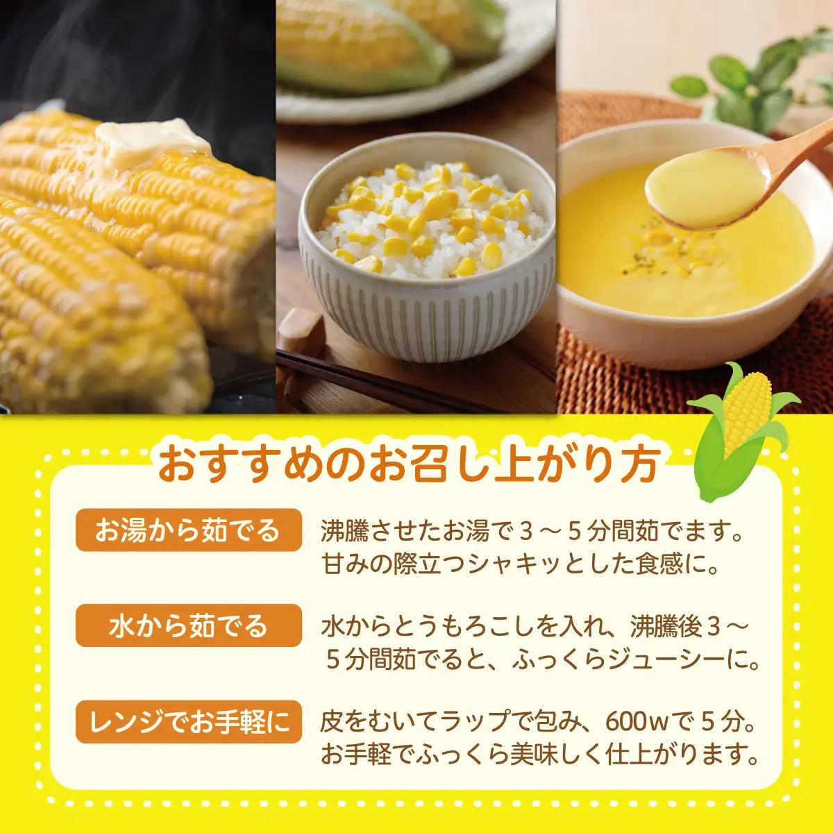 【ふるなびWEEK対象】＜2026年8月上旬よりお届け＞北海道壮瞥産 とうもろこし（スイートコーン）13本 約5kg SBTN001