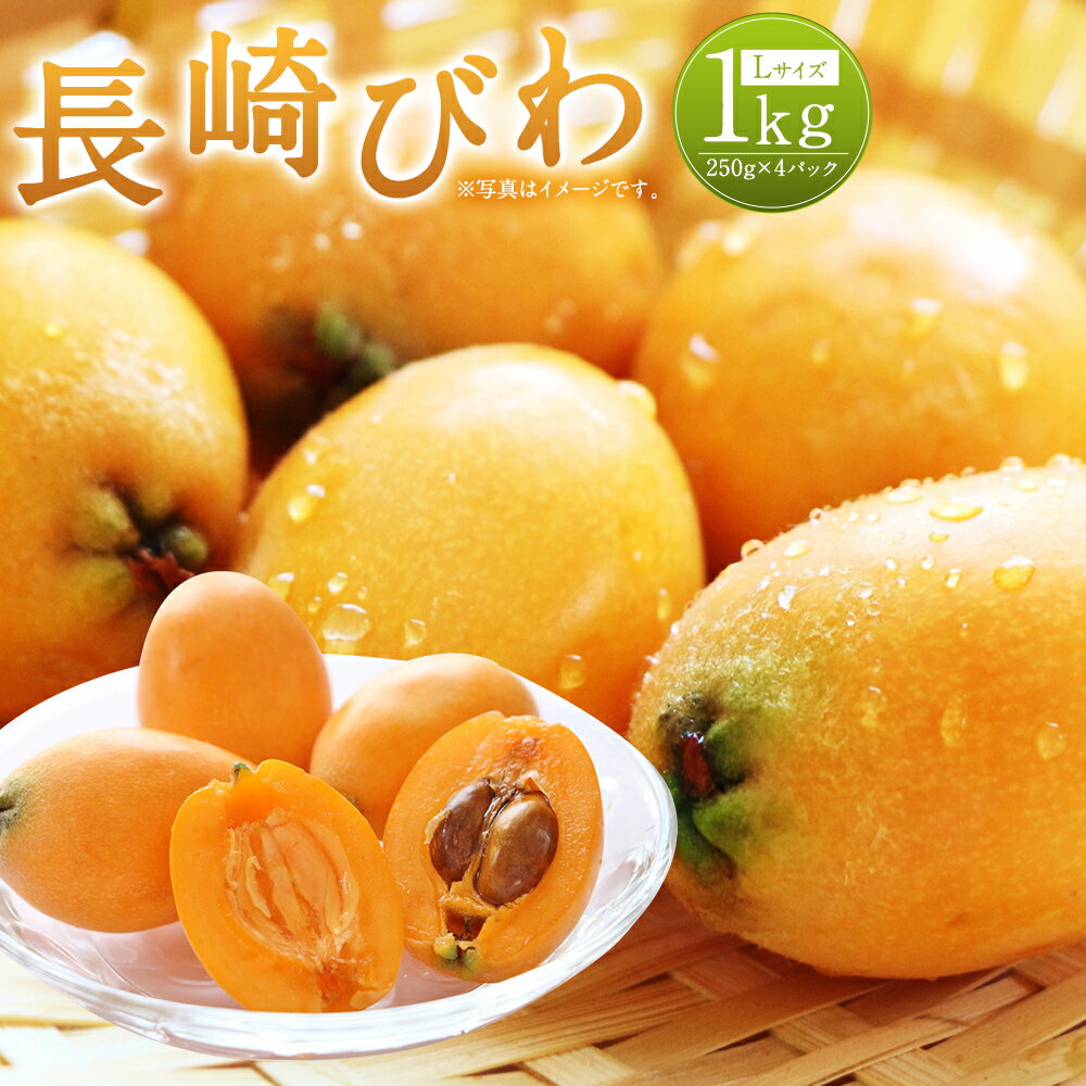 【ふるさと納税】長崎びわ 約1kg 約250g×4パック Lサイズ 秀品相当 長崎県産 枇杷 ビワ びわ フルーツ 果物 果実 季節品 ギフト 贈り物 送料無料【2026年5月下旬～6月上旬迄発送予定】