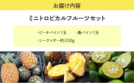 2026年 先行予約 ミニトロピカルフルーツ セット パイン シークワーサー ☆西表島ふる～つらんど☆ 果物 フルーツ ミニトロピカルセット