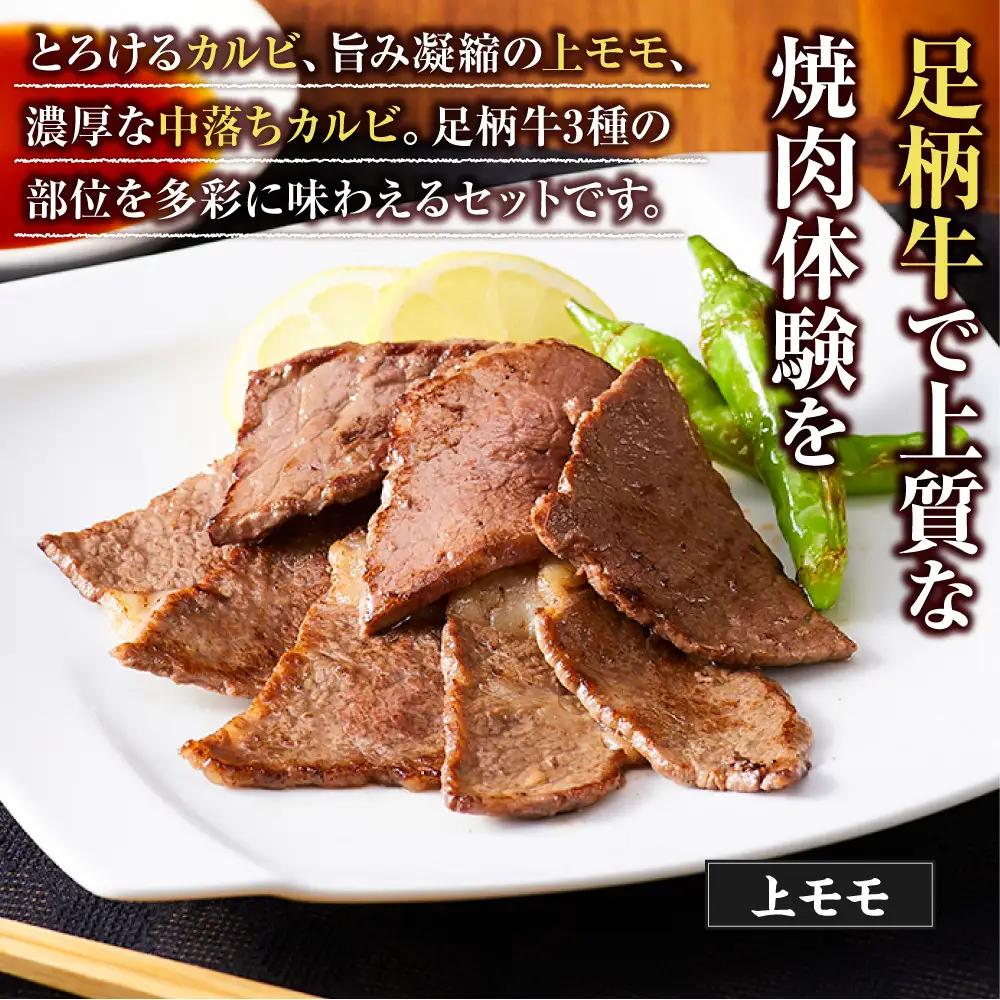 足柄牛 3種 焼肉セット（カルビ　上モモ　中落カルビ各250ｇ）｜ 焼肉セット 詰め合わせ