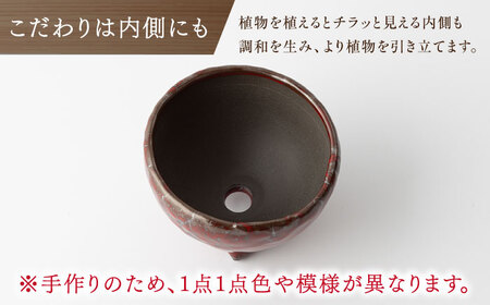 【宝寿窯】植木鉢 小magma[UCN026-4] 植木鉢