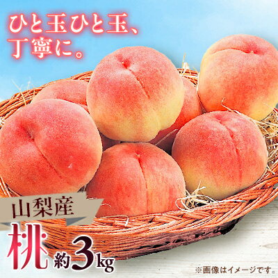 【ふるさと納税】【2025年発送】山梨市産　桃　約3kg【配送不可地域：離島】【1465106】