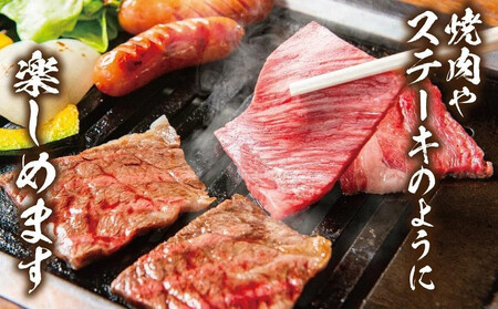 【定期便全3回】飛騨牛 訳あり焼肉1kg 切り落とし  肉 にく 焼肉 飛騨牛 高山｜2ヶ月に1回お届け 飛騨高山 株式会社丸明 LR105