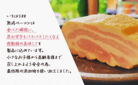 いちはら88熟成ベーコン約500g×6個 ベーコン 冷凍 おかず おつまみ 市原市 千葉