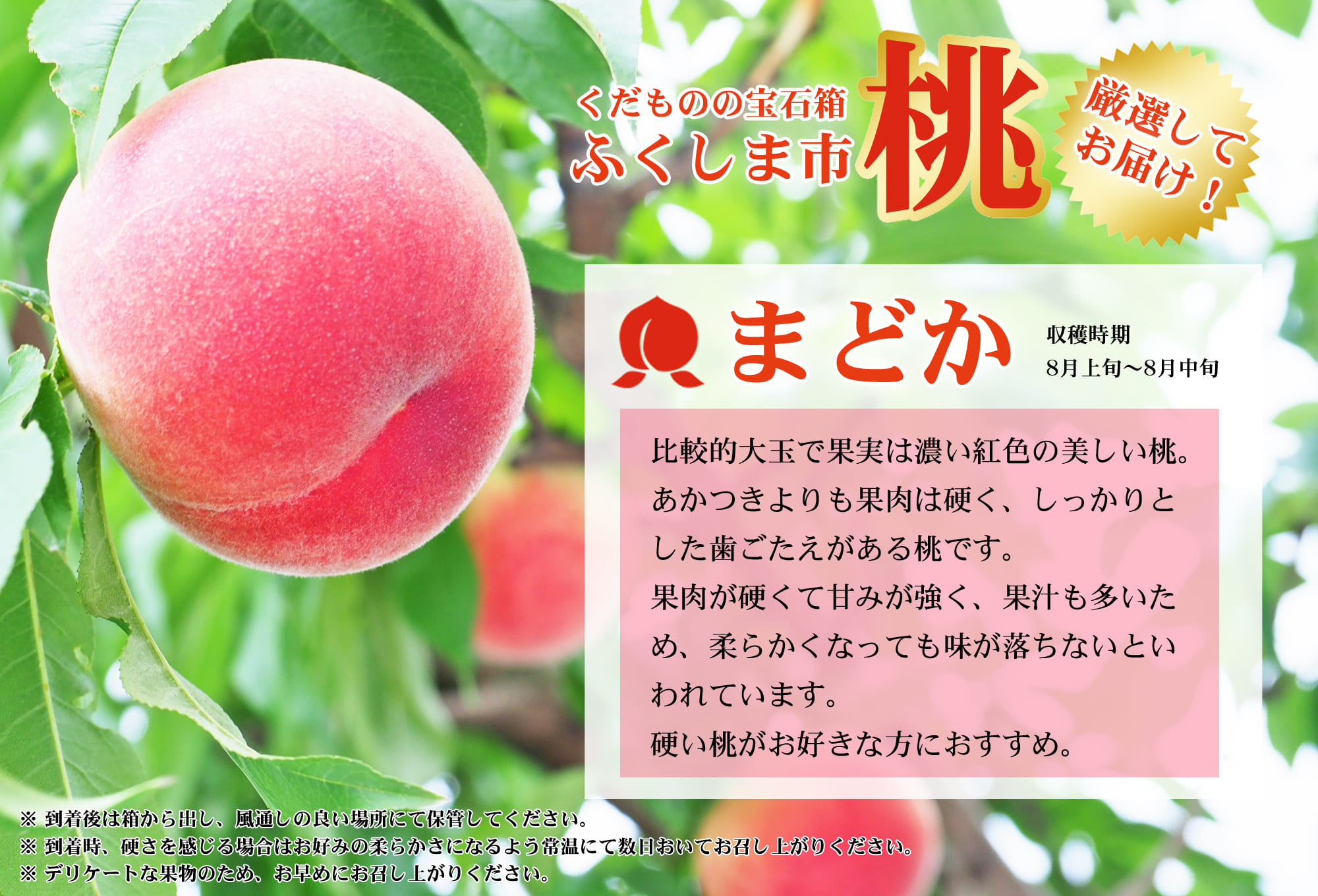 
            No.2424もも「まどか」特秀品約2.3kg【2025年発送　先行予約】
          
