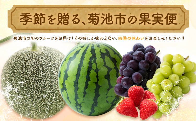 【2回定期便】旬のフルーツ便【養生市場】 定期便 ぶどう詰め合わせ約1.5kg メロン約2kg×2玉 2回発送 《季節ごとに出荷予定》 果物 フルーツ 九州産 熊本県産 送料無料