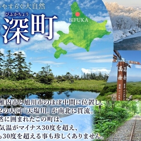  北海道 美深銘菓 かぼちゃパイ 10個 ピウカ・ボッチャ 6本 スティックケーキ スティックタルトケーキ スイーツ カボチャ かぼちゃ 南瓜 パイ タルト カボチャの種 餡 餡子 あんこ バター 食