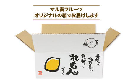 訳あり 檸檬 5kg マル南フルーツ 先行予約 不揃い 訳アリ 訳あり品 訳有り わけあり レモン れもん レモン果汁 酸味 高級 果物 くだもの ビタミン 健康 ダイエット フルーツ 柑橘 みかん 