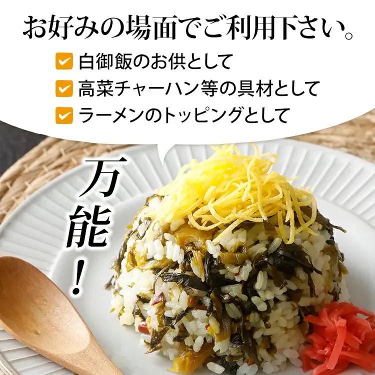 辛子高菜 240g×2パック（480g） 山賊の高菜