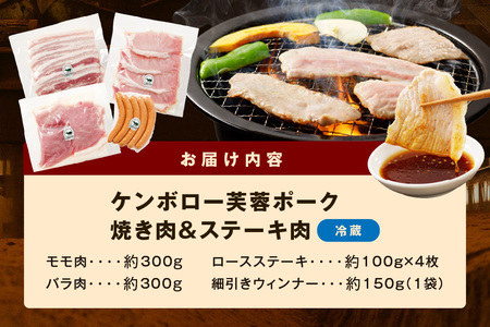 【DLGコンテスト2024金賞受賞】 浜田で生産されたケンボロー芙蓉ポーク焼き肉＆ステーキ肉 豚肉 肉 セット 詰め合わせ 小分け 個包装 真空パック もも肉 バラ肉 ロース ステーキ ウィンナー 【
