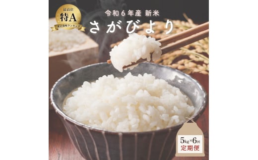 新米 令和6年産 さがびより 5kg×6回定期便 ／米 お米 返礼品 飯 ごはん 弁当 銘柄米 白米 県産米 佐賀県産 国産米 精米 ブランド米 おにぎり 国産 食品 人気 おすすめ ふるさと納税米 新米 精白米 主食 ご飯 kg