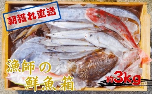 
            漁師の鮮魚箱（約3kg）(A889-3)
          