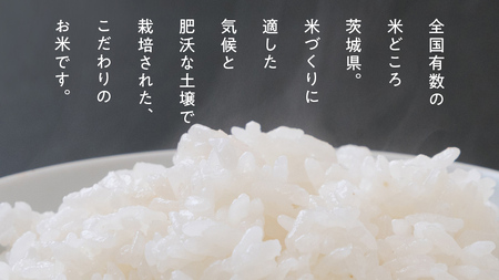 地元で愛される漬物店のお米 10kg（未検査米） 5kg×2袋 精米 米 コメ 茨城県 国産 美味しい おこめ