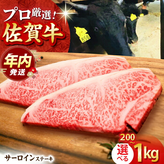 【ふるさと納税】【お歳暮対象】【選べる容量・回数】佐賀牛 サーロイン ステーキ （ 200g / 400g / 600g / 1kg ） 【田中畜産牛肉店】 [HBH007]