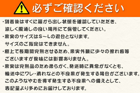 『先行予約』【令和8年1月から発送】吉田みかん園の樹上完熟みかん 10kg 柑橘 ミカン 蜜柑 フルーツ 果物