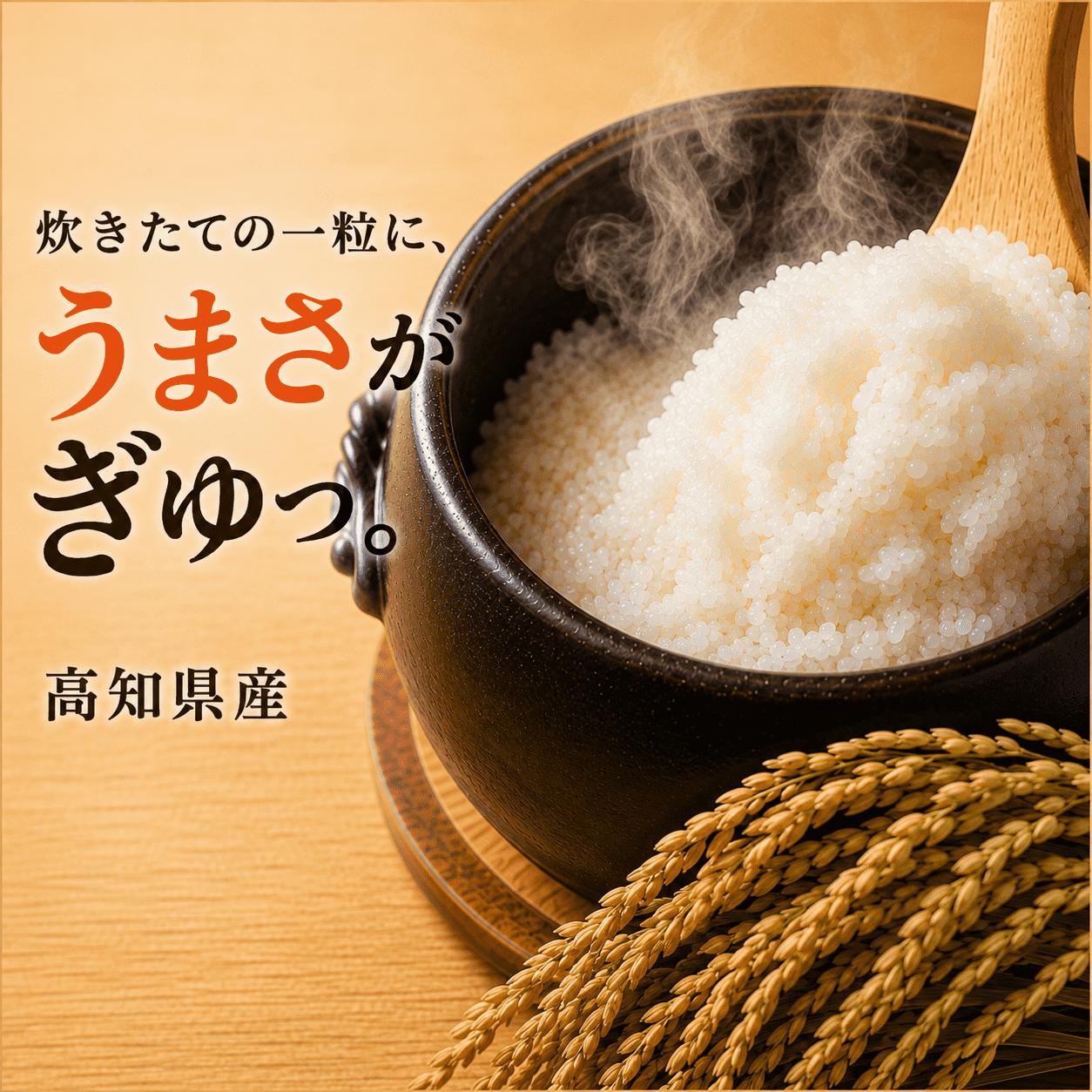 【新米 令和8年度 高+知県産 】コシヒカリ5㎏ 人気 米 お米 5kg 5キロ　令和8年度産 令和8年産 R8 2026年産 コシヒカリ こしひかり お米 白米 精米 国産米 産地直送 お弁当 ごは