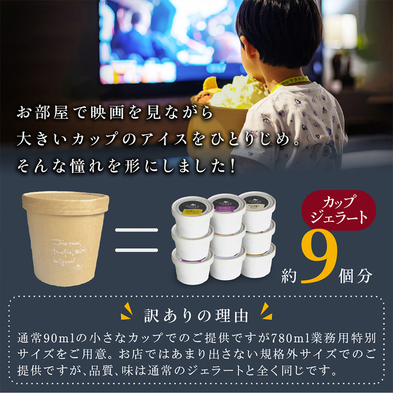 COZAB GELATO 訳あり 大容量 ひとりじめサイズ 2個セット FY25-276