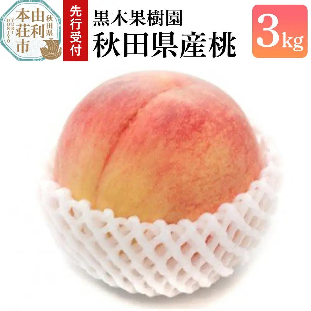 《先行受付》【数量限定】桃 3kg 黒木果樹園の桃 秋田県産（8月上旬から9月上旬に発送）