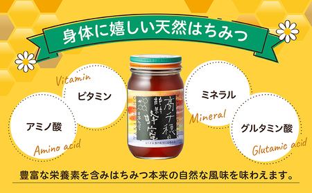 【6ヶ月定期便】日本みつばち 高千穂の純粋蜂蜜 300g×2本 セット 瓶 蜂蜜 はちみつ ハチミツ 百花蜜 自然蜜100% 調味料 定期 はちみつセット 瓶 贈答 贈り物 ギフト プレゼント おすそ