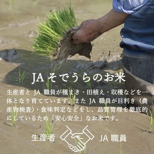 SJ0058　【6回定期便】令和7年産［精米］ひとめぼれ　5kg×6回(計30kg) JS