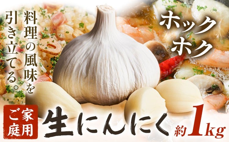 
            にんにく 野菜 和歌山県産 生にんにく 約1kg ご家庭用 厳選館 《2026年5月上旬-5月中旬頃出荷》 和歌山県 日高町 ガーリック 青果物
          
