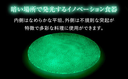ルミナスシリーズ プレート (小) グリーン 【暗闇に輝く、卓上の新たな魔法】 多治見市 / 丸モ高木陶器 ガラス 皿 食器 化粧箱入り[TBA211]