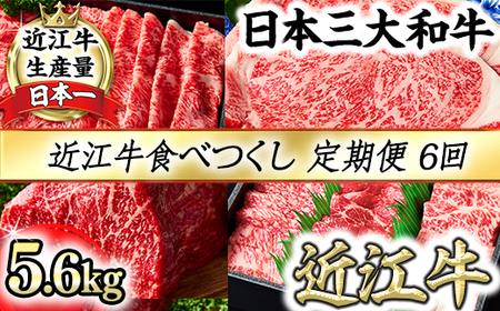 近江牛食べつくし定期便　６回　焼肉　すきしゃぶ　ステーキ【FO17U】