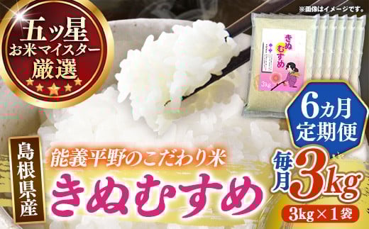 【定期便】五ツ星お米マイスター厳選 能義平野のきぬむすめ 3kg×6ヵ月 【令和7年産 ３KG 6ヶ月 毎月 計18kg 精米 白米 ご飯 お米 美味しい 安心 安全 沼田米穀店 島根県 安来市】【56-NB-09】
