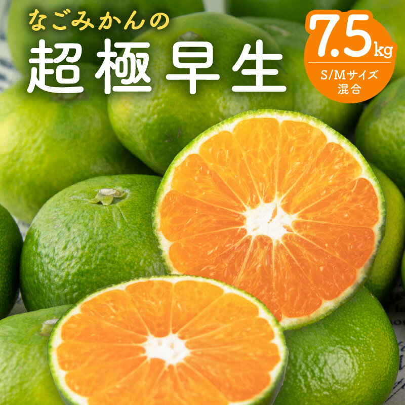 【ふるさと納税】なごみかん 超極早生みかん 7.5kg │ フルーツ 果物 柑橘 みかん 超極早生 青切りみかん 夏 秋 旬