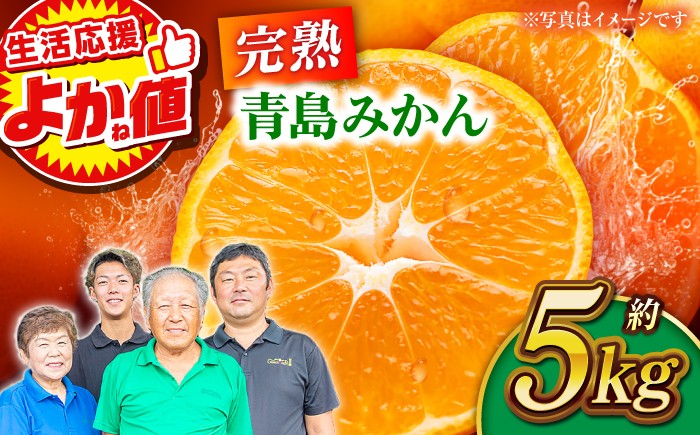 
                  ＼生活応援よか値キャンペーン／【先行予約】完熟 青島 みかん 約5kg【合同会社 社方園】ミカン 熊本 5キロ 柑橘 熊本 [ZBZ003-CP]
                