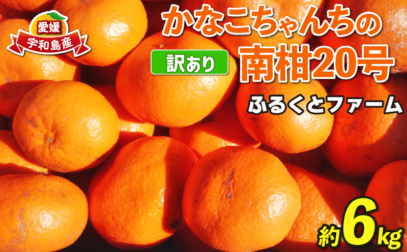 訳あり 南柑20号 6kg ふるくとファーム 先行予約 かなこちゃんち 温州みかん 果物 くだもの フルーツ 柑橘 みかん 蜜柑 mikan ビタミンC たっぷり 愛媛ミカン 愛媛蜜柑 愛媛みかん 農家直送 産地直送 数量限定 国産 愛媛 宇和島 B010-037005