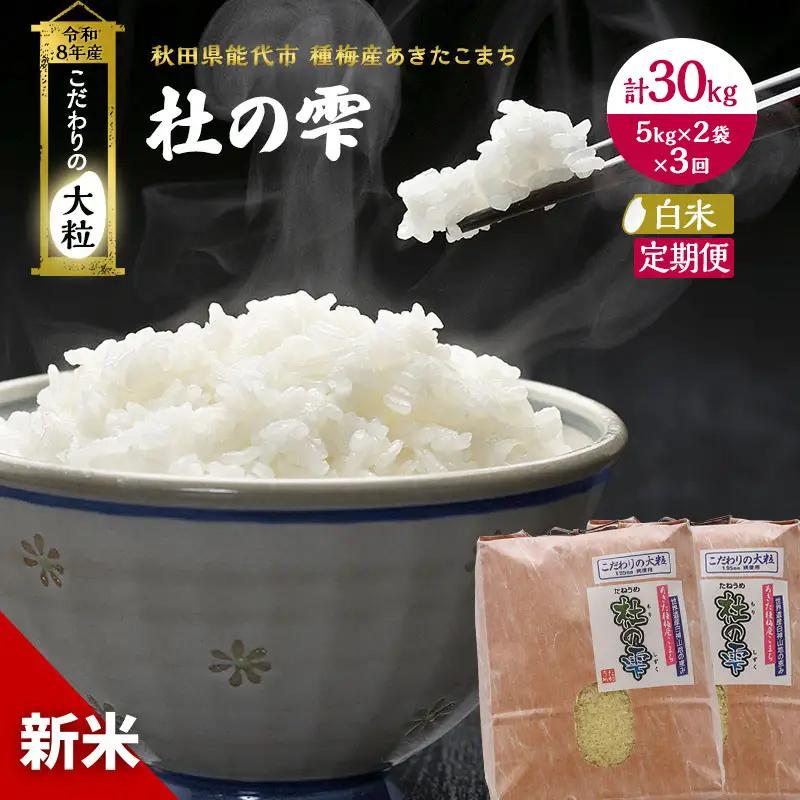 【先行予約】【3ヶ月定期便】令和8年産 白米 大粒 あきたこまち 秋田県産 杜の雫 白米【10kg(5kg×2)】