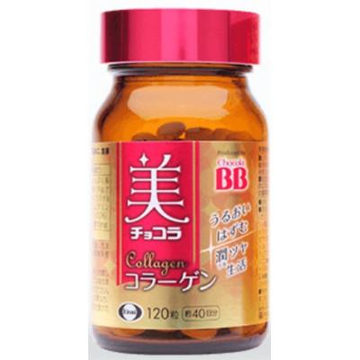 ふるさと納税 富山市 【120粒×2瓶】エーザイ　美チョコラ コラーゲン　120粒×2瓶