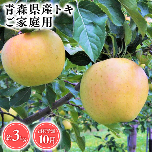 2026年産１０月発送　【訳あり】家庭用トキ3ｋｇ　【そと川りんご園・１０月・青森県産・平川市・りんご・トキ・3ｋｇ・訳あり・家庭用】