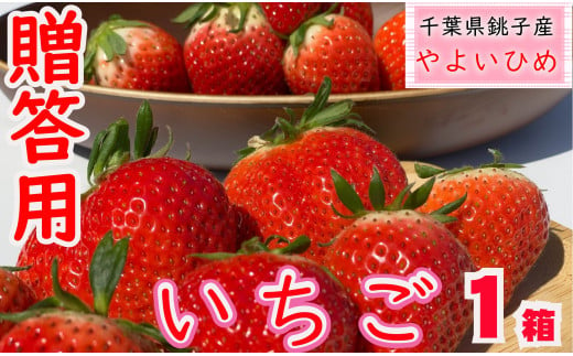 先行予約 いちご やよいひめ 1箱（約400g） 林いちご園 銚子産  苺 いちご イチゴ ビタミンC 葉酸 食物繊維 デザート ミルフィーユ フルーツ ヨーグルト スムージー 朝摘み 朝採れ 新鮮 千葉県 銚子市