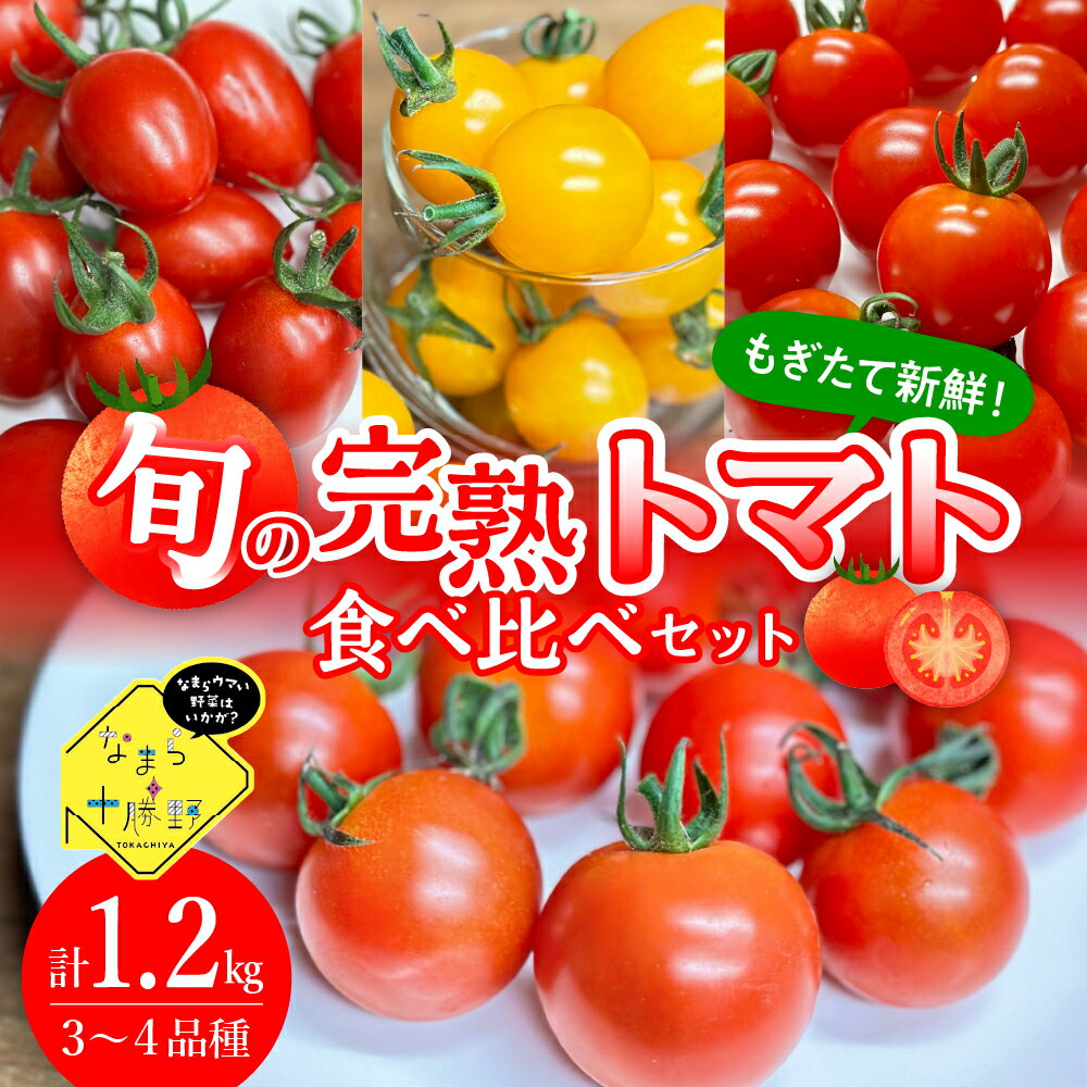 【ふるさと納税】【先行受付】【2026年8月上旬より順次発送】なまら十勝野の旬の完熟トマトを3~4品種詰め合わせた 食べ比べセット 完熟 トマト 3〜4品種 200g×6パック 野菜 期間限定 北海道産 カラートマト おまかせ アイコ ミックス もぎたて 北海道 十勝 芽室町