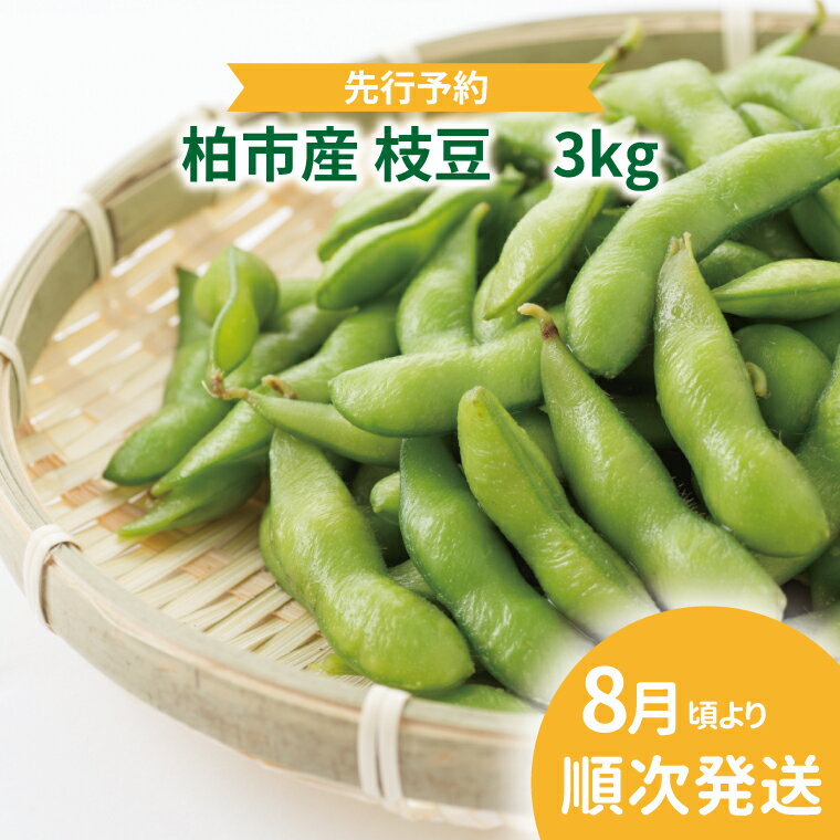 【ふるさと納税】【先行予約】【2025年8月発送】 枝豆 3kg セット 野菜 国産 千葉県産 柏市産 予約 おいしい 新鮮 おつまみ 弁当 プレゼント 贈り物 父の日 母の日 おすすめ 夏野菜 えだまめ 大量 産地直送