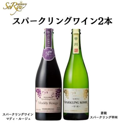 ふるさと納税 甲州市 スパークリングワイン　マディルージュと甲州2本セット　B2666