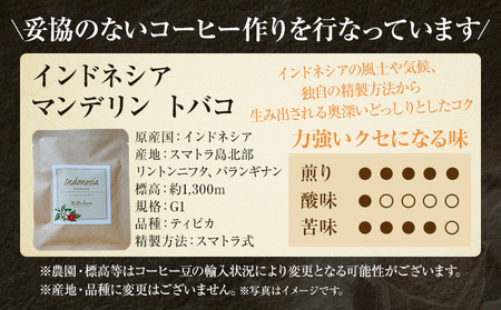 コーヒー ドリップバッグ お試し 無糖 1500円ポッキリ インドネシア メール便（ポスト投函）