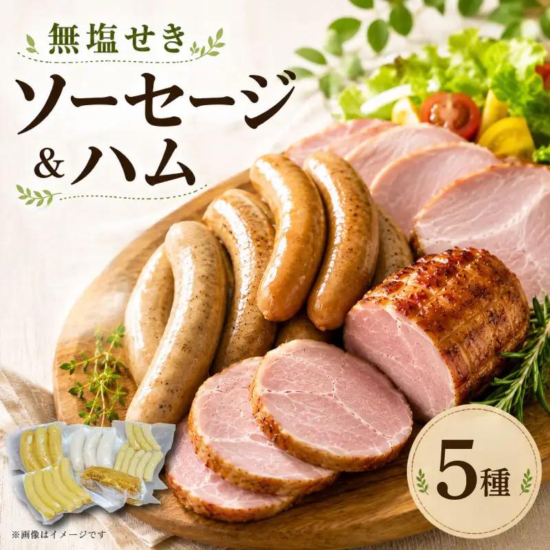 ソーセージ ハム 5種セット 910g ハム