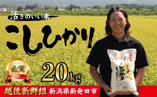 【2025年12月以降発送】令和7年産 コシヒカリ 20kg こしひかり 精米 白米 ご飯 おにぎり 弁当 新潟県産 新発田産 新潟 米 お米 こめ 受賞 越後新鮮組 新潟県 米 新潟県 新発田市 shinsengumi003_202512