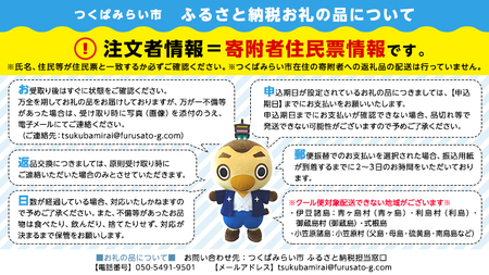 旬のフルーツ7種類セット【順次お届け】