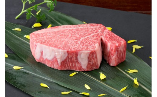 
                  くまもと黒毛和牛 ヒレステーキ 200g 肉 お肉 牛 牛肉 和牛 ヒレ ステーキ 熊本 冷凍
                