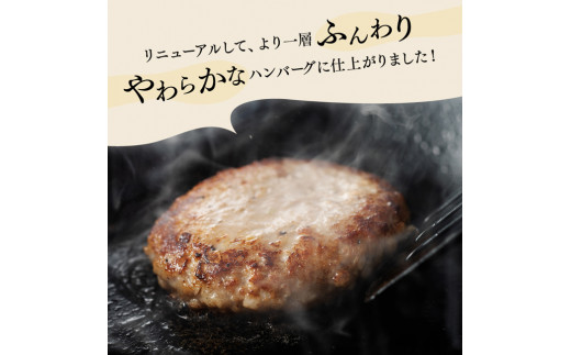 【令和7年11月発送】さんきょうみらい豚 ”ふんわりやわらか” ハンバーグセット(90g×11P、ソース200g付) 【 豚肉 国産 肉 豚 おかず 惣菜 ハンバーグ 】