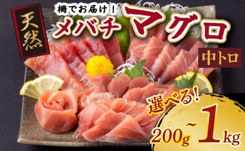 天然メバチマグロ 【 中トロ 】200ｇ ～ 1kg（柵） メバチマグロ めばちまぐろ めばち メバチ まぐろ マグロ 鮪 サク 柵 中トロ 天然 天然まぐろ 天然マグロ 刺身 お刺身 食べ比べ 海鮮丼 丼 魚 さかな 新鮮 高知 室戸 冷凍 小分け 海鮮