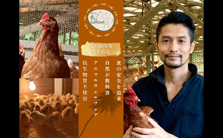 種子島 夢まるガーデン 若鶏 1羽分　NFN636 【600pt】// クリスマス用 ローストチキン 骨付きチキン