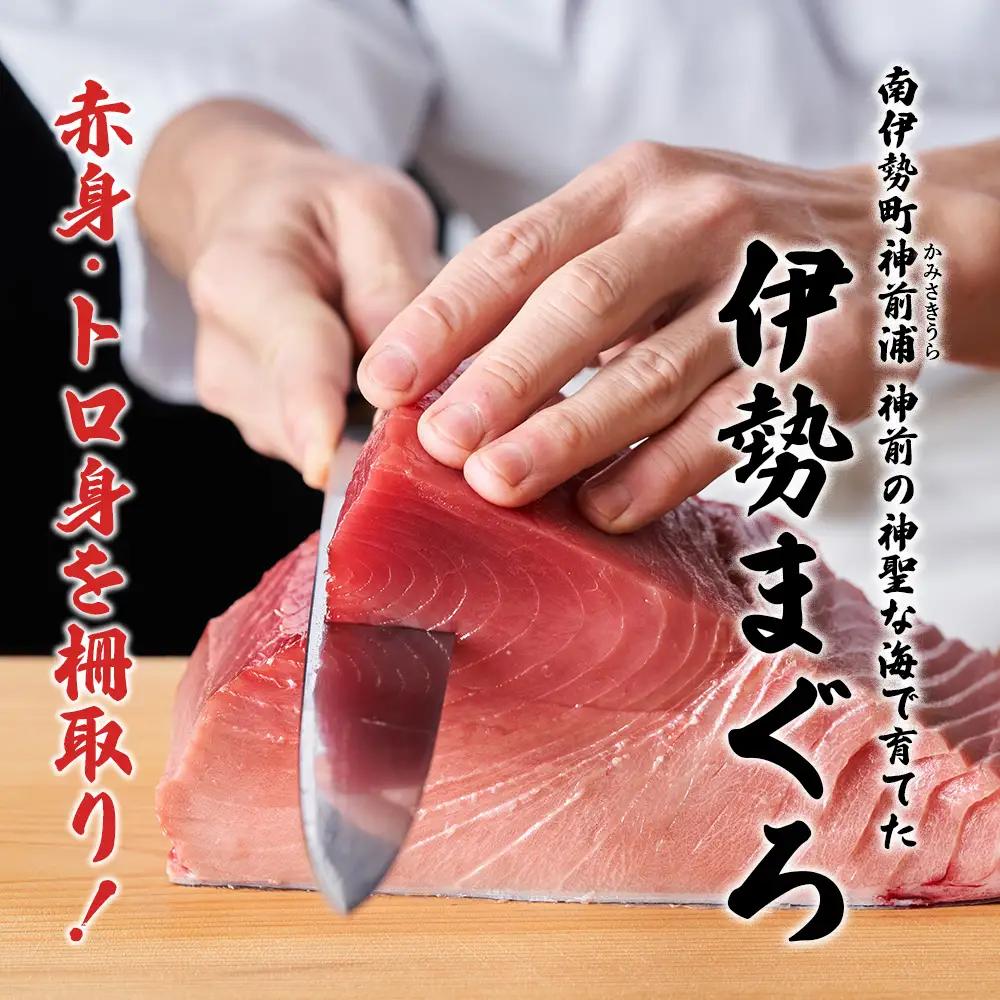 【 冷凍 】本マグロ 赤身 トロ身 約700g ブルーフィン三重 【 本鮪 】