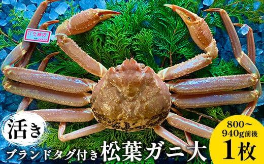 【ポイント交換専用】107.【先行予約】【活き】ブランドタグ付き松葉ガニ 大　800～940g前後　1枚《かに カニ 蟹 ズワイガニ》※2025年11月上旬～2026年3月上旬頃に順次発送予定 313726_AN012-P